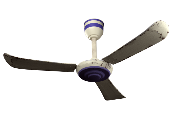 fan
